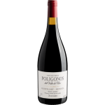 VINHO ZUCCARDI POLIGONOS MALBEC GUALTALLARY TINTO 750ML