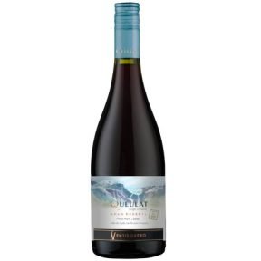 VINHO VENTISQUERO QUEULAT GRAN RESERVA PINOT NOIR TTO 750ML