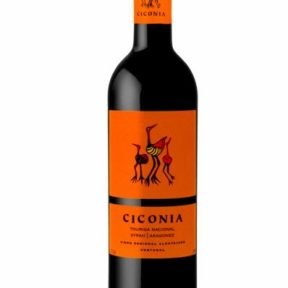 VINHO CICONIA DOC TINTO 750ML