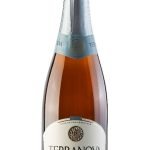 ESPUMANTE TERRANOVA BLANC DE BLANCS DEMI-SEC BRANCO 750ML