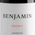 VINHO BENJAMIN NIETO SENETINER MALBEC 750ML