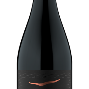 VINHO KAIKEN ULTRA PINOT NOIR TINTO 750 ML
