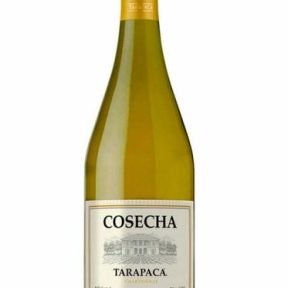 VINHO TARAPACA COSECHA CHARDONNAY BRANCO 750ML
