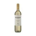 VINHO BENJAMIN NIETO SENETINER CHARDONNAY 750ML
