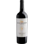 VINHO NIETO SENETINER CABERNET SAUVIGNON TINTO 750ML