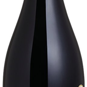 VINHO MAYOS SYRAH TINTO 750ML