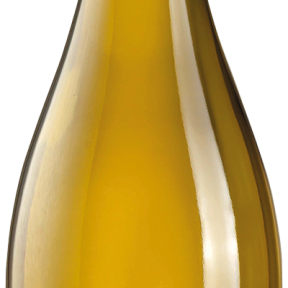 VINHO TORO DE PIEDRA RESERVA CHARDONNAY 750ML