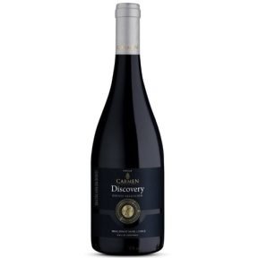 VINHO CARMEN DISCOVERY ESTATE PINOT NOIR 750ML TINTO