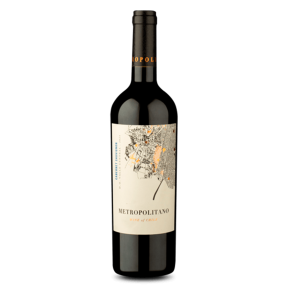 VINHO METROPOLITANO D.O. VAL. CENTRAL CAB. SAUVIGNON 750ML